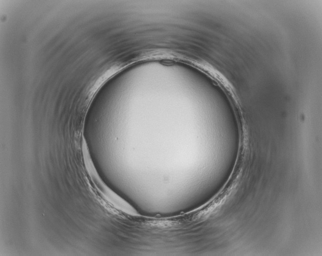 X0000062670953200601041006