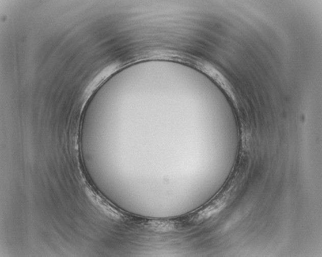 X0000062670954200601041006