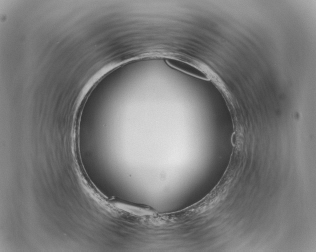 X0000062670955200601041006