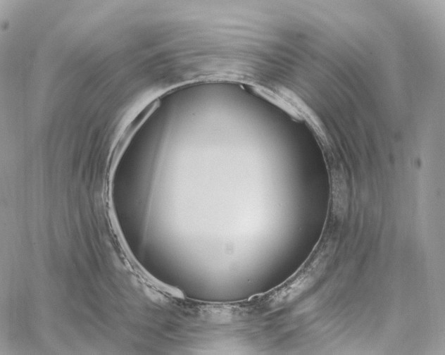 X0000062670956200601041006