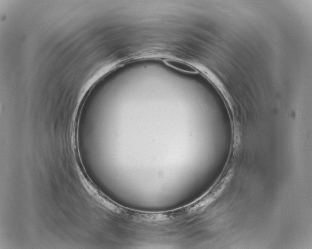 X0000062670957200601041006