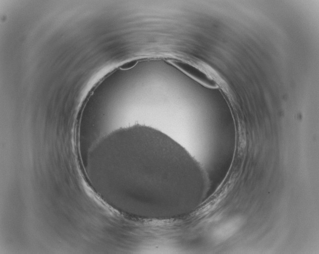 X0000062670958200601041006