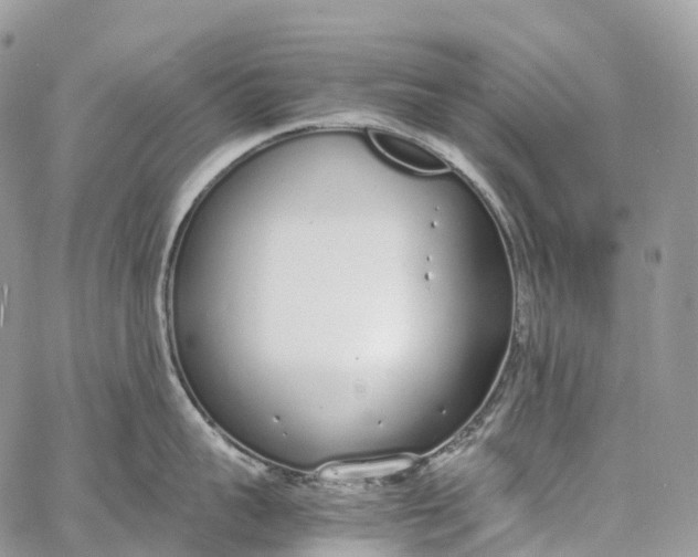 X0000062670959200601041006