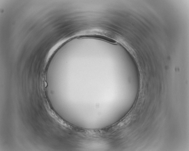 X0000062670960200601041006