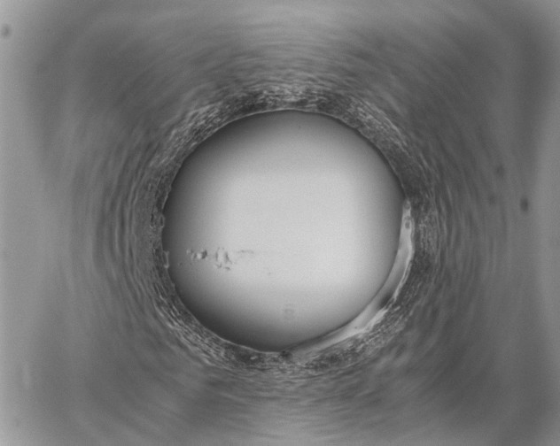 X0000062670961200601041005