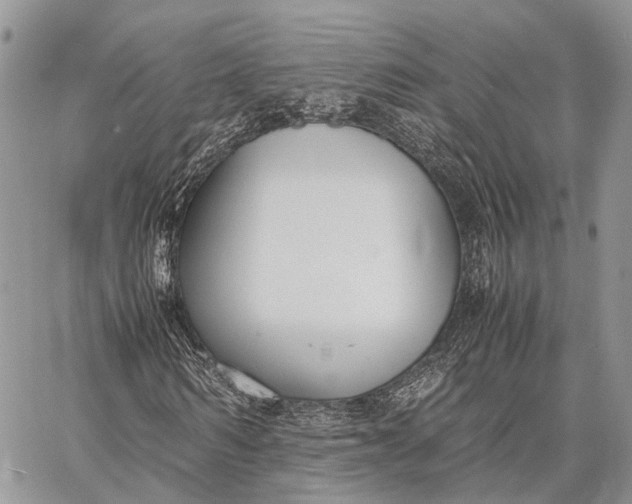 X0000062670962200601041005