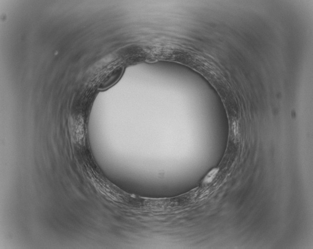 X0000062670963200601041005