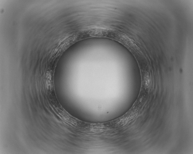 X0000062670964200601041005