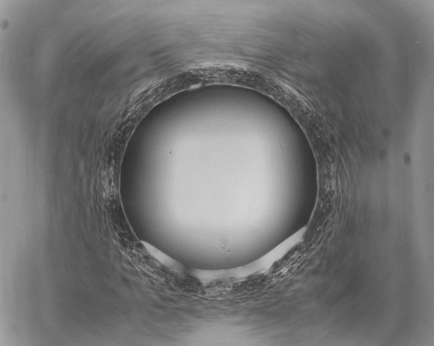 X0000062670965200601041005