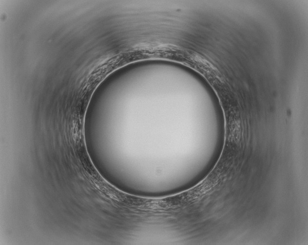 X0000062670966200601041005