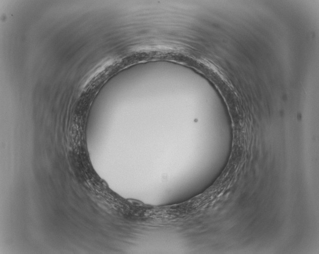 X0000062670967200601041005