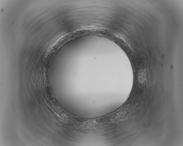 X0000062670968200601041005