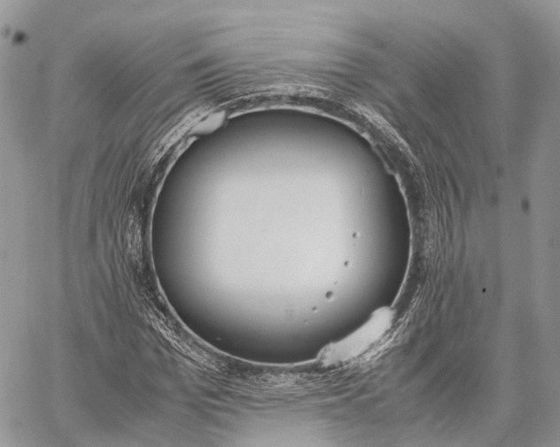 X0000062670969200601041005