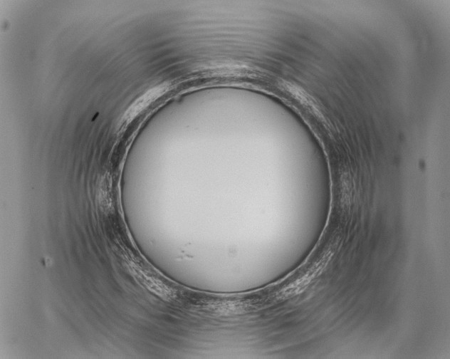 X0000062670970200601041005