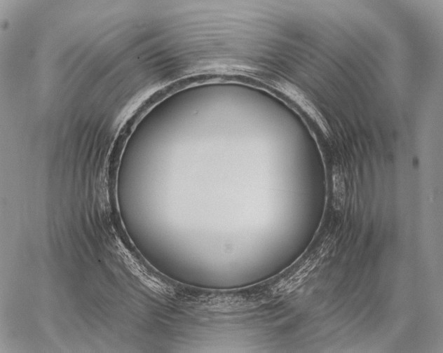 X0000062670972200601041005