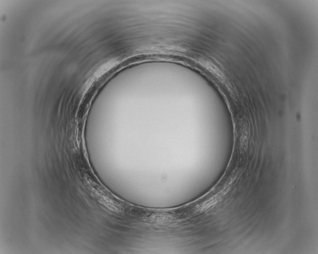 X0000062670974200601041005