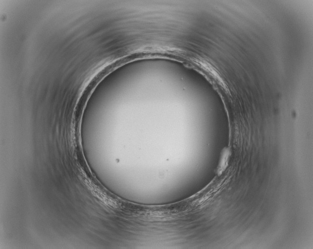 X0000062670976200601041005