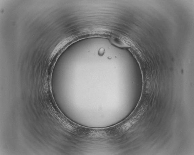 X0000062670978200601041005