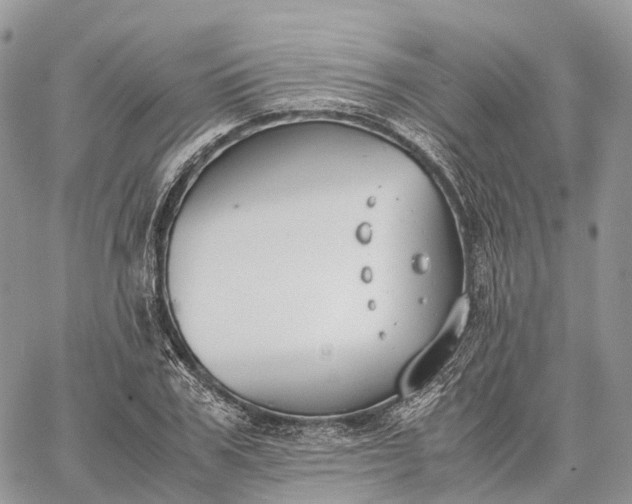 X0000062670979200601041005