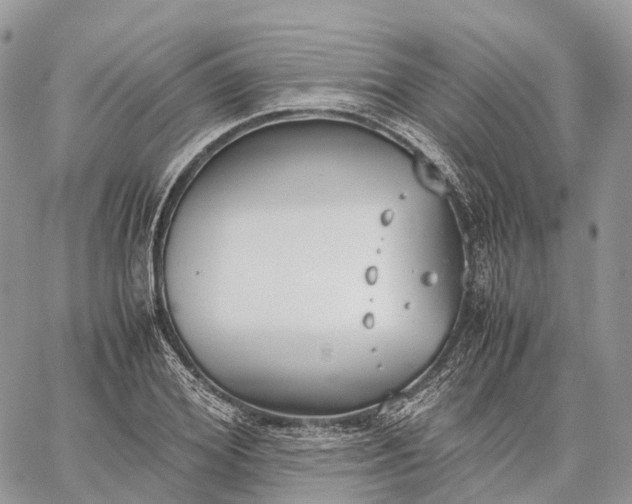 X0000062670980200601041005