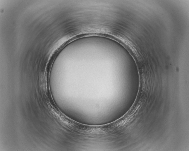 X0000062670982200601041005