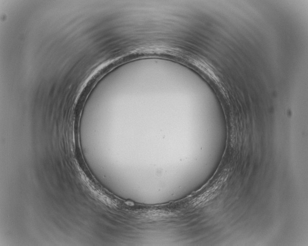 X0000062670984200601041005