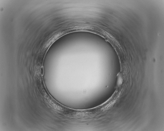 X0000062670985200601041005