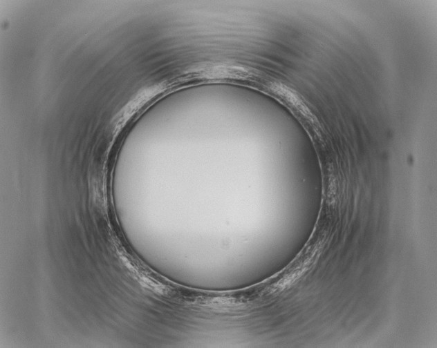 X0000062670986200601041005