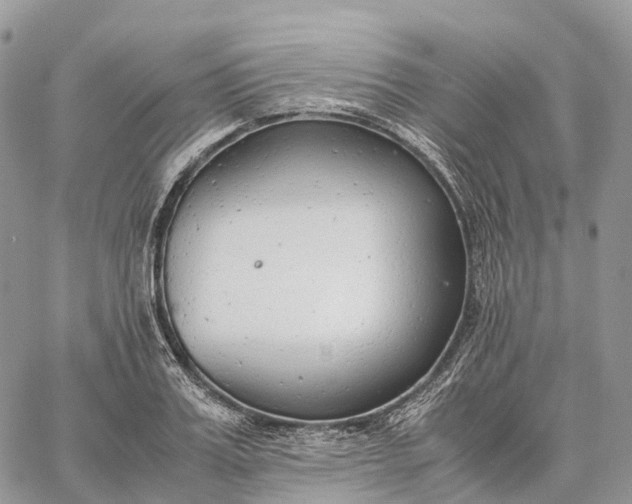 X0000062670987200601041005