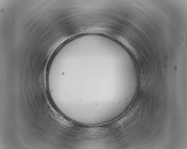 X0000062670988200601041005