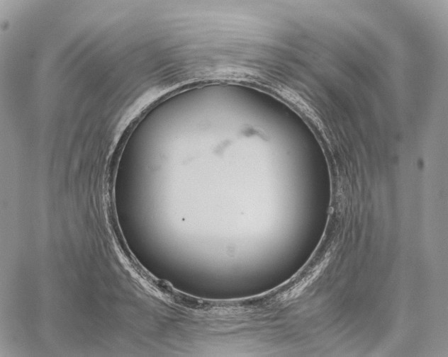 X0000062670989200601041005