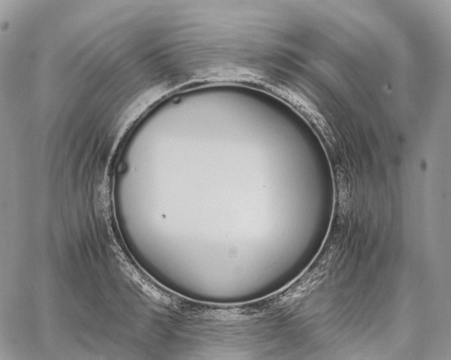 X0000062670990200601041005