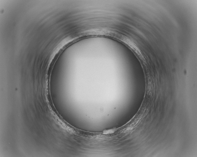 X0000062670992200601041005