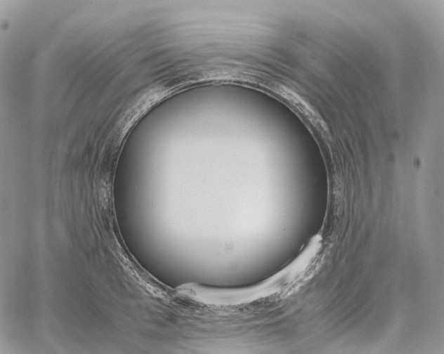 X0000062670993200601041005