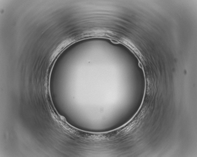 X0000062670994200601041005