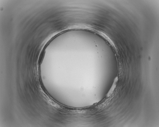 X0000062670996200601041005