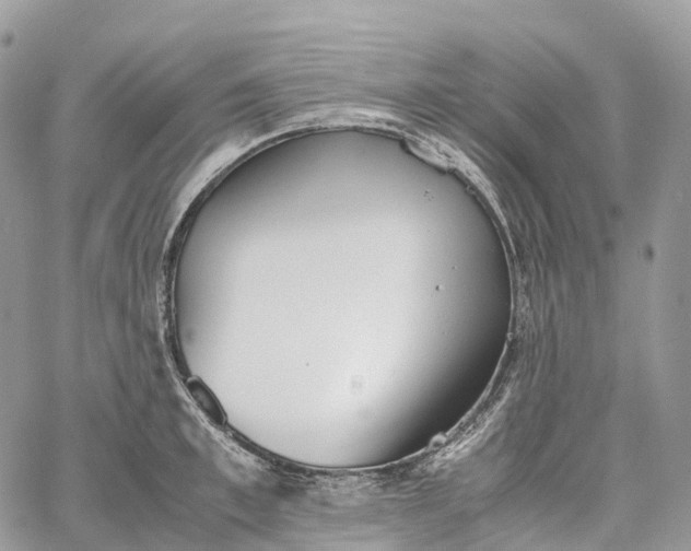 X0000062670997200601041005