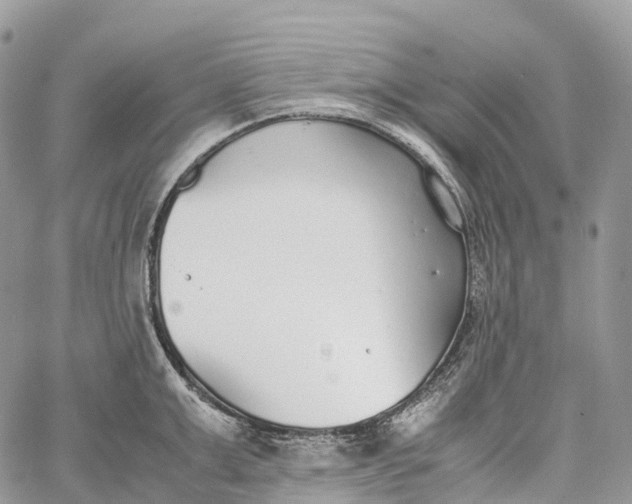 X0000062670999200601041005