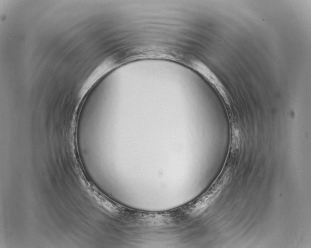 X0000062671002200601041005