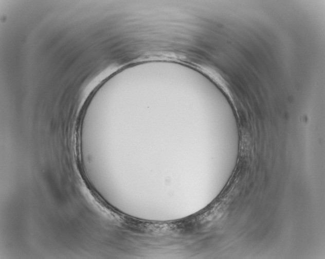 X0000062671003200601041005