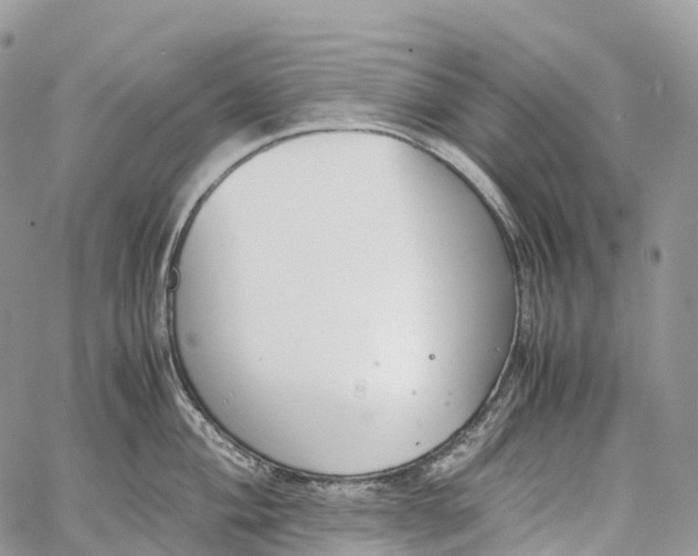 X0000062671004200601041005