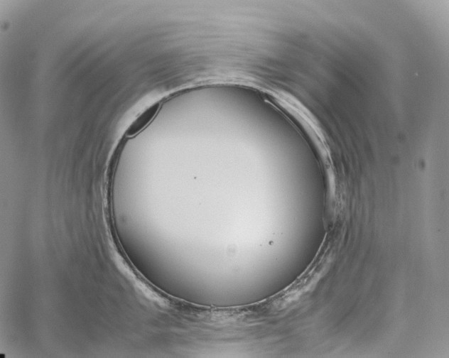 X0000062671005200601041005