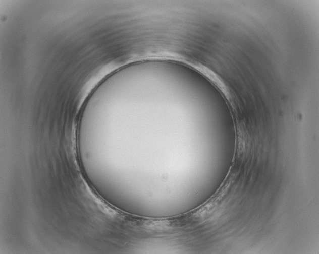 X0000062671006200601041005