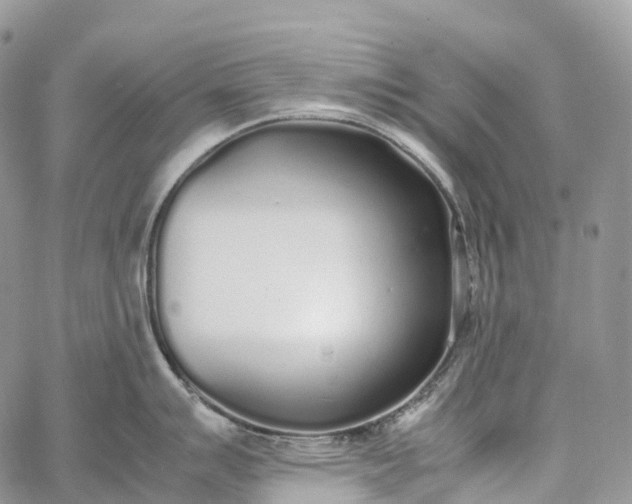 X0000062671007200601041005