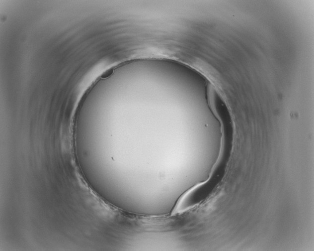 X0000062671008200601041005