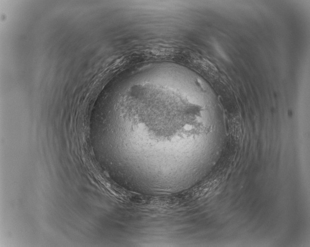 X0000062671009200601041004