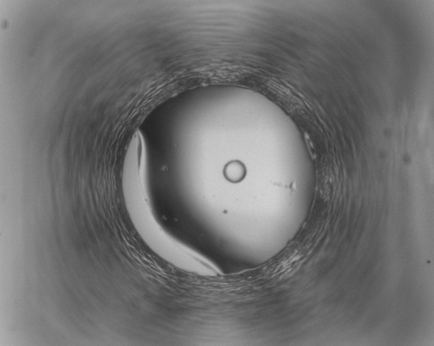 X0000062671010200601041004