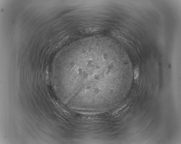 X0000062671011200601041004