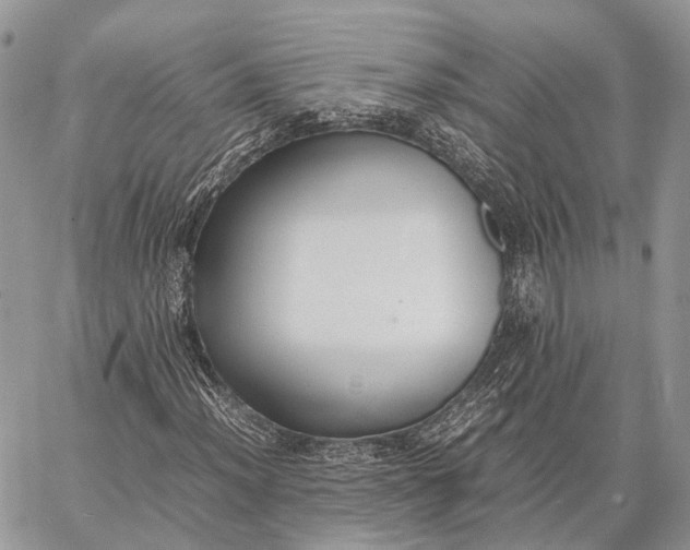 X0000062671012200601041004