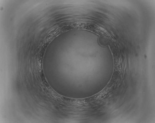 X0000062671013200601041004